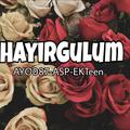 hayir gulum