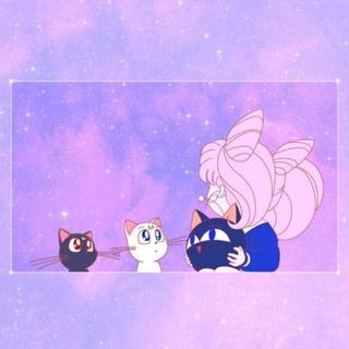 一个既萌又有效的起床铃声ʚ˙Ꙫ˙ɞ