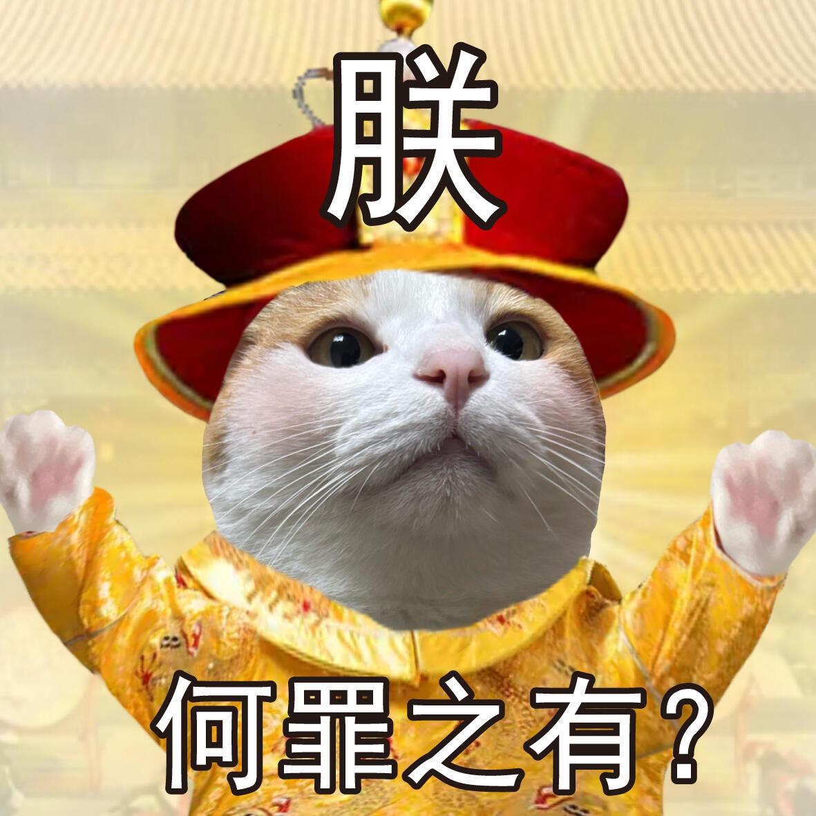 胡先生的人生歌单 | 在线播放 | 网易云音乐