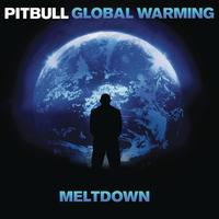 Pitbull featuring J. Lo - Drinks for You (Ladies Anthem) (Pre-V) 带和声伴奏