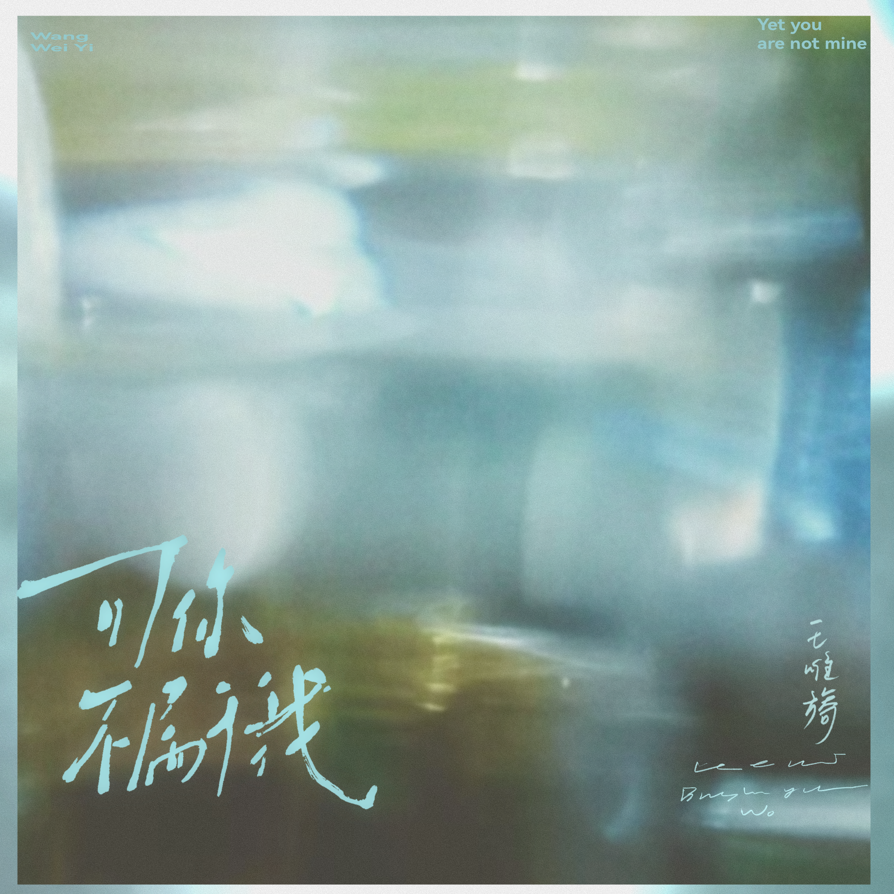 可你不属于我