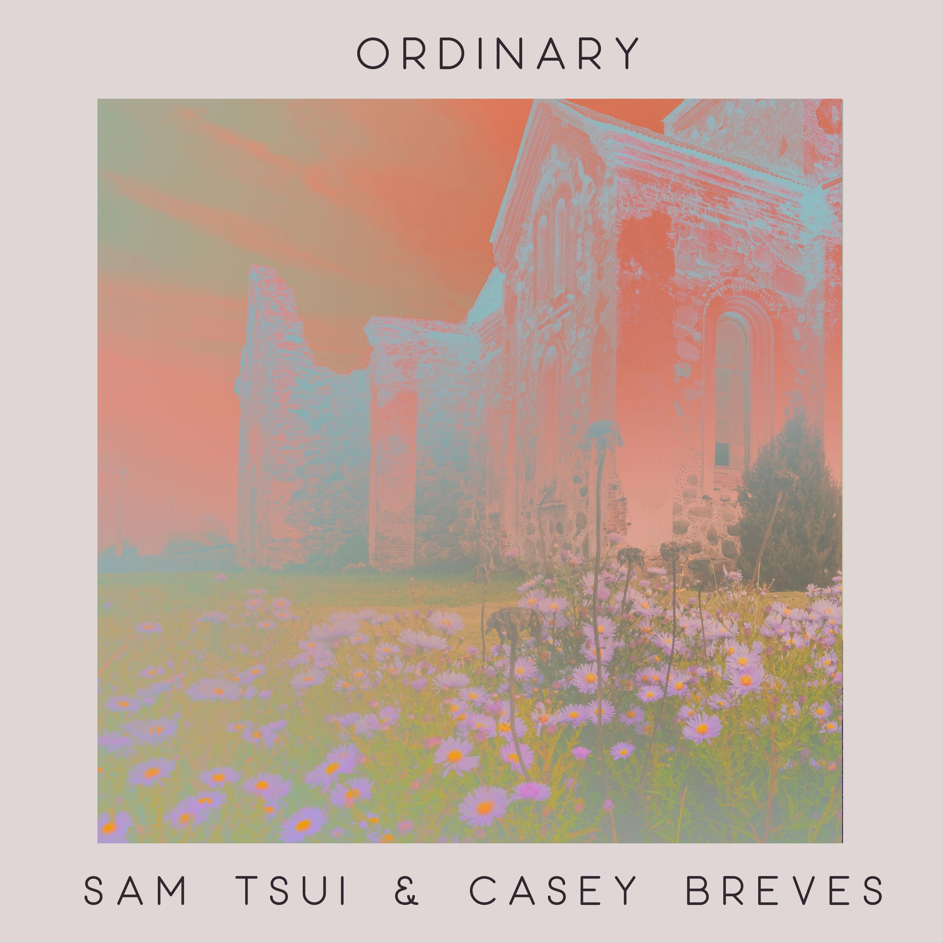 Ordinary