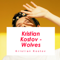 Kristian Kostov - Wolves（Cover：Selena Gomez）