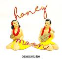 honeymoon专辑