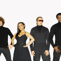 The Brand New Heavies