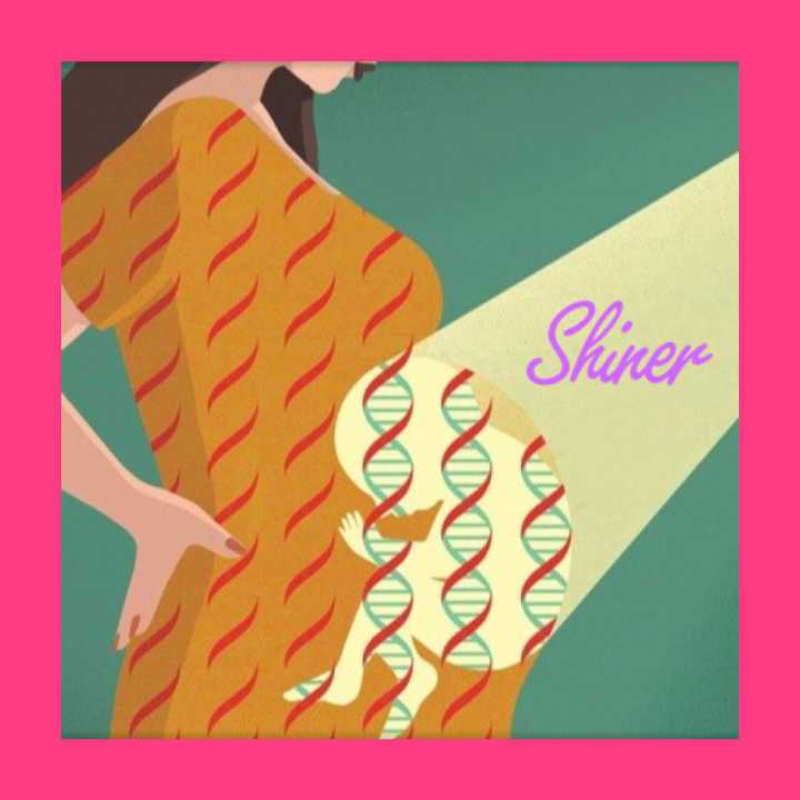 发光体（Shiner）专辑