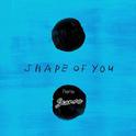 Shape Of You (Scanna Remix)专辑