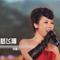 李帅潮 - 让梦飞翔(原版立体声伴奏)