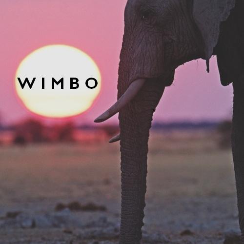Wimbo (Original Mix)