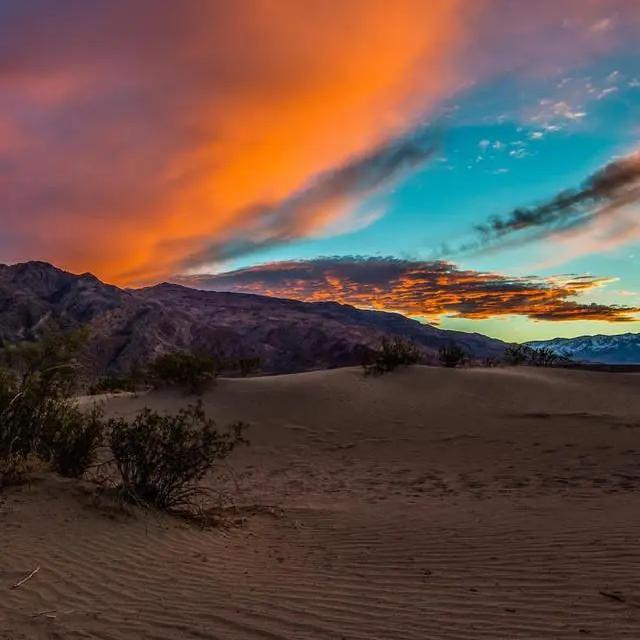 小阿颜音乐分享 (9)