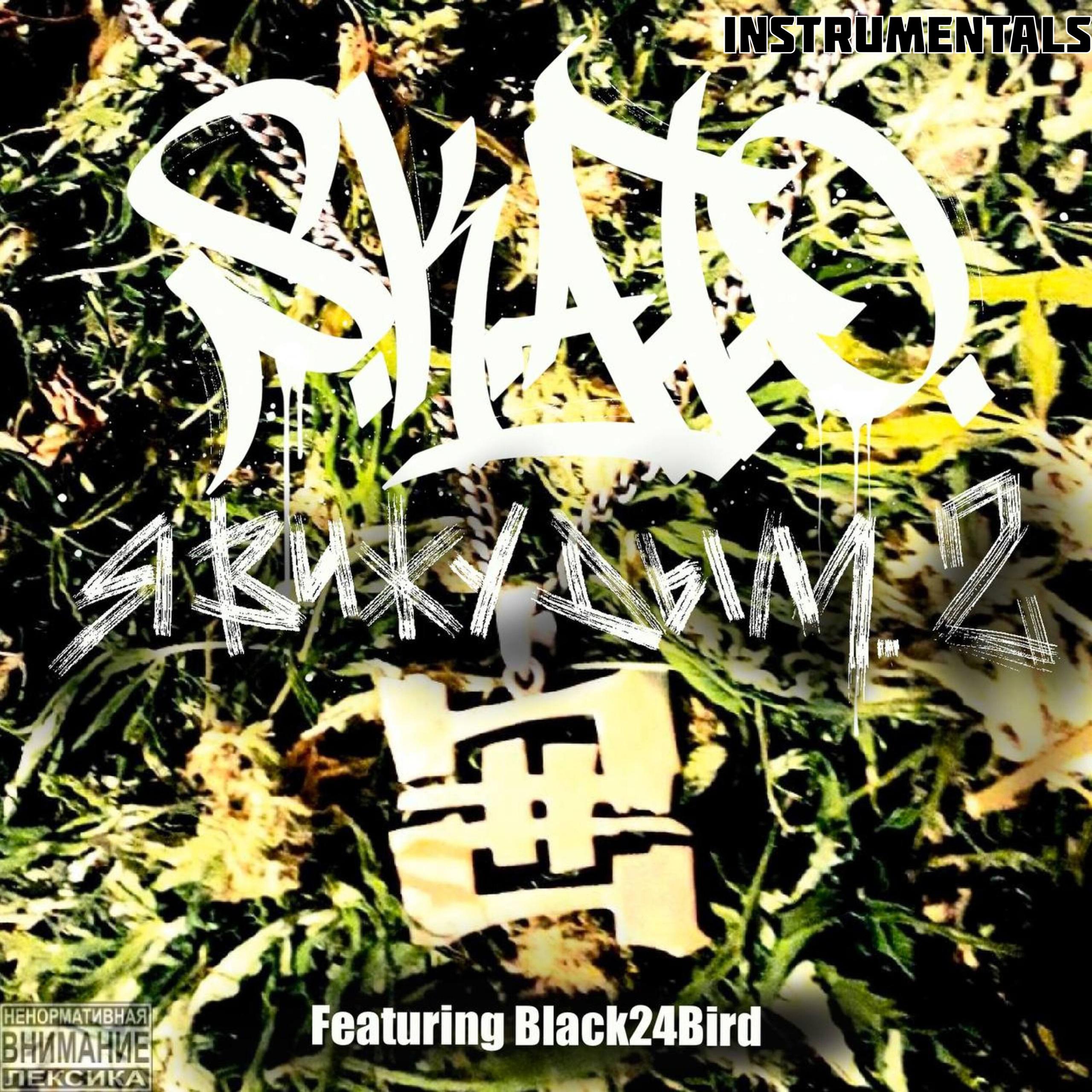 Skato - Gang Mentality (feat. Black24Bird)