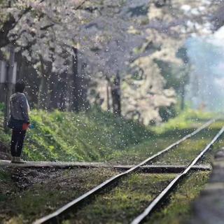 千里山水藏于心 你藏山水里