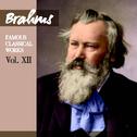 Brahms: Famous Classical Works, Vol. XII专辑