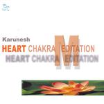 Heart Chakra Meditation专辑