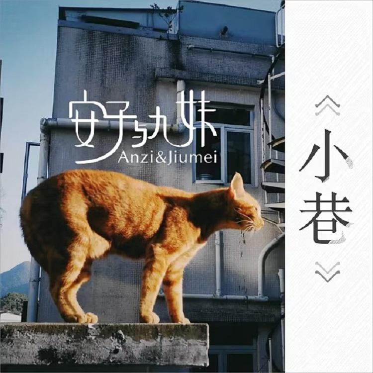安子与九妹乐队歌曲封面