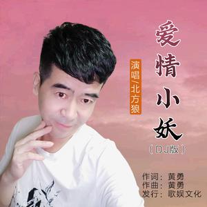 北方狼 - 爱情小妖(DJ版) （降5半音）