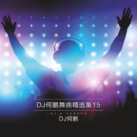 一路阳光-DJ何鹏(伴奏) （DJ舞曲）