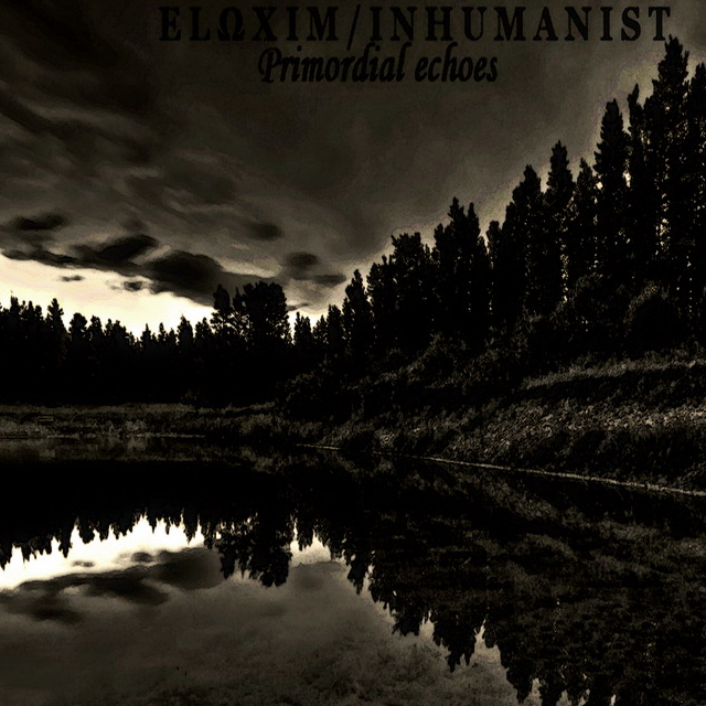Primordial Echoes