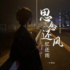 小雨点 - 思念还风忆还雨(DJ彭锐版)