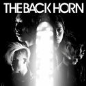 THE BACK HORN专辑