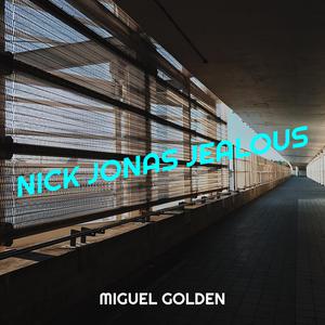 Nick Jonas - Jealous (VS karaoke) 带和声伴奏 （升3半音）