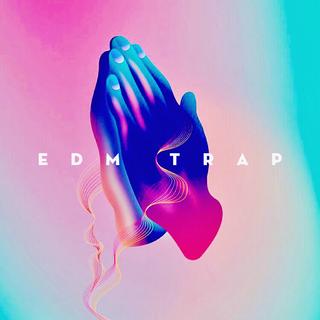 Take care!!! 前方是陷阱EDM Trap!!!!!!