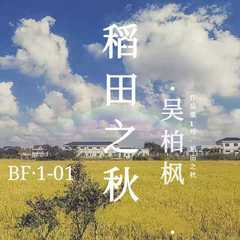 稻田之秋（BF·1-01）