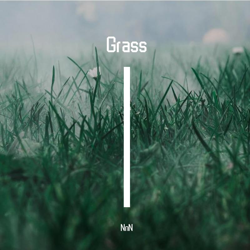 Grass 草