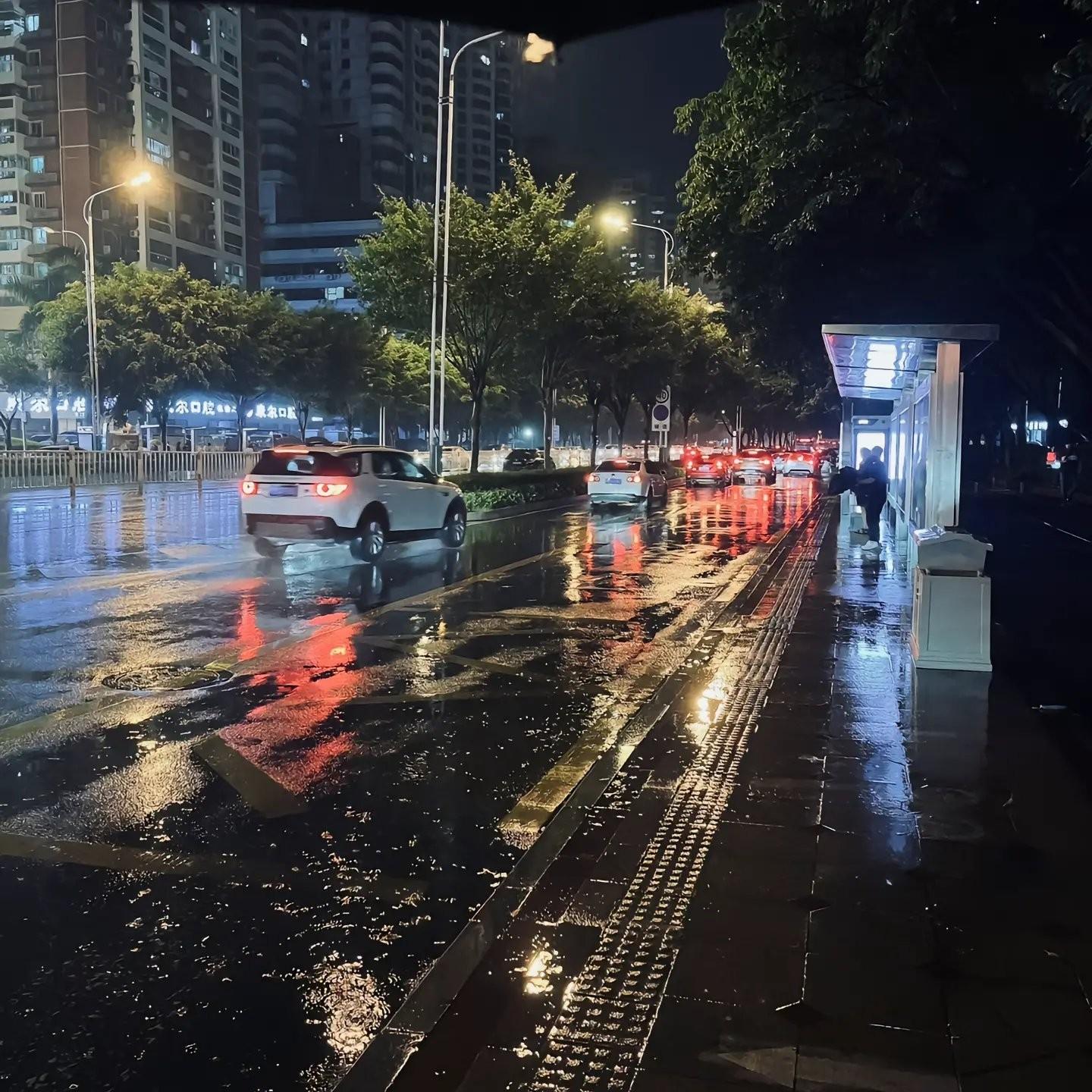 白山茶还是红玫瑰