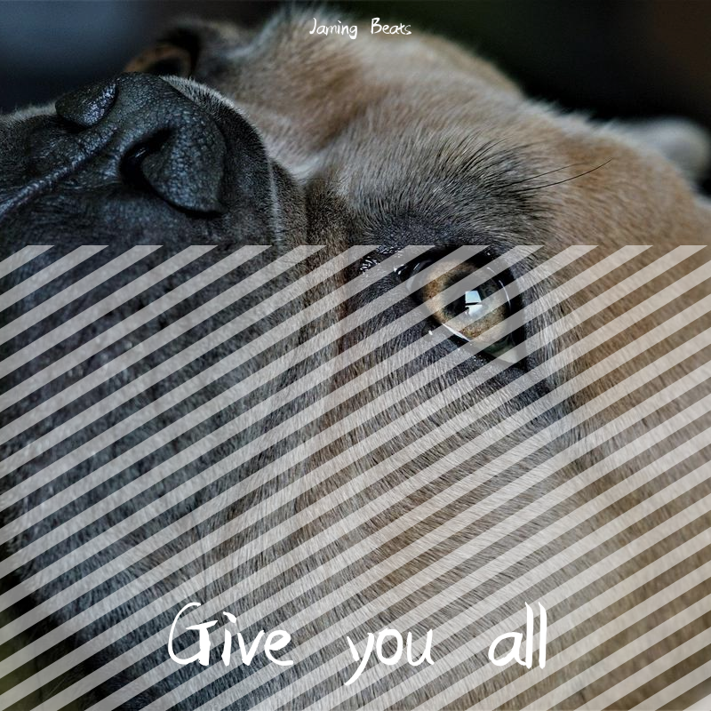 Give you all