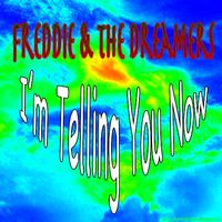 Freddie & The Dreamers - I\'m Telling You Now (karaoke)