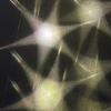 选择记忆专辑