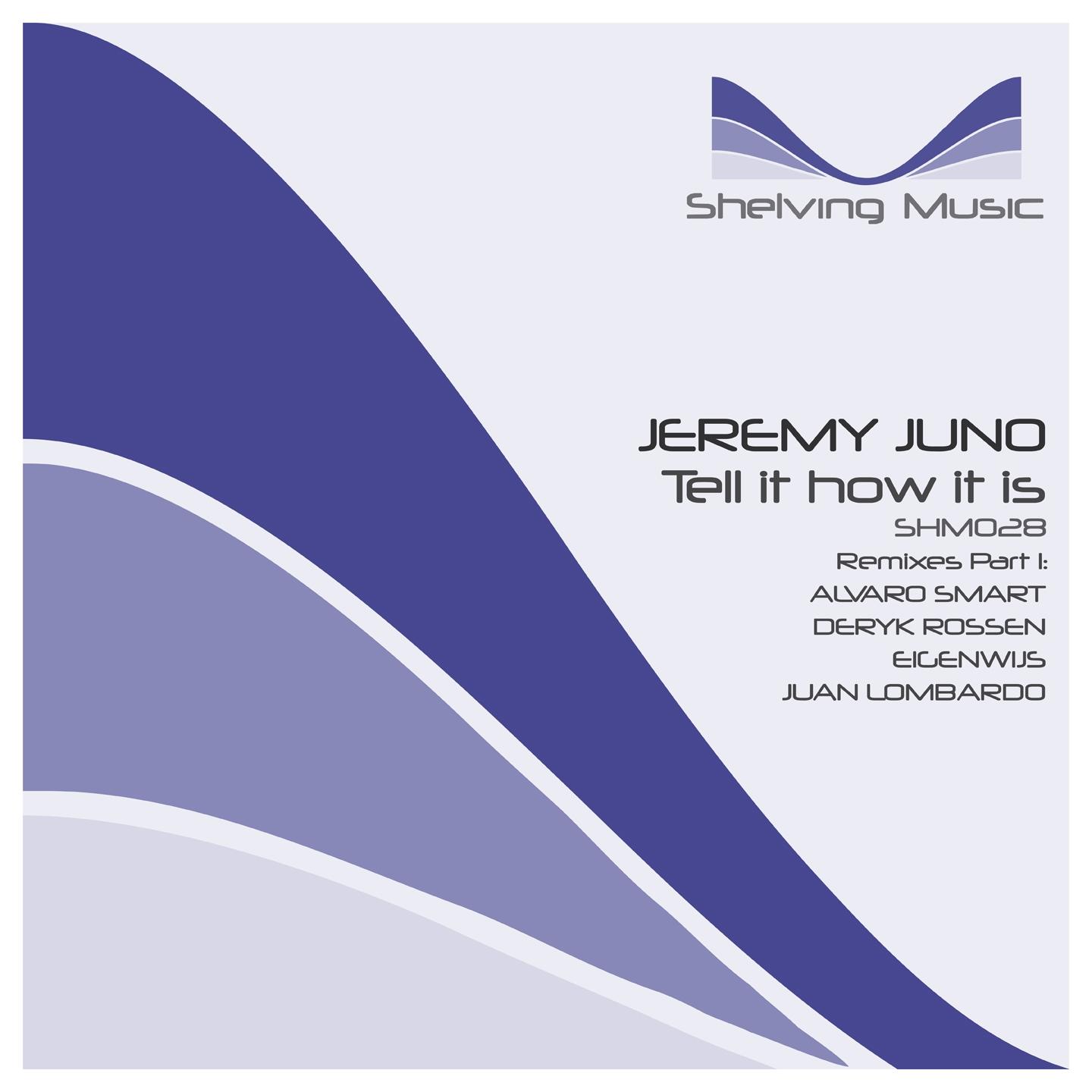 Tell It How It Is (Remixes Part 1)