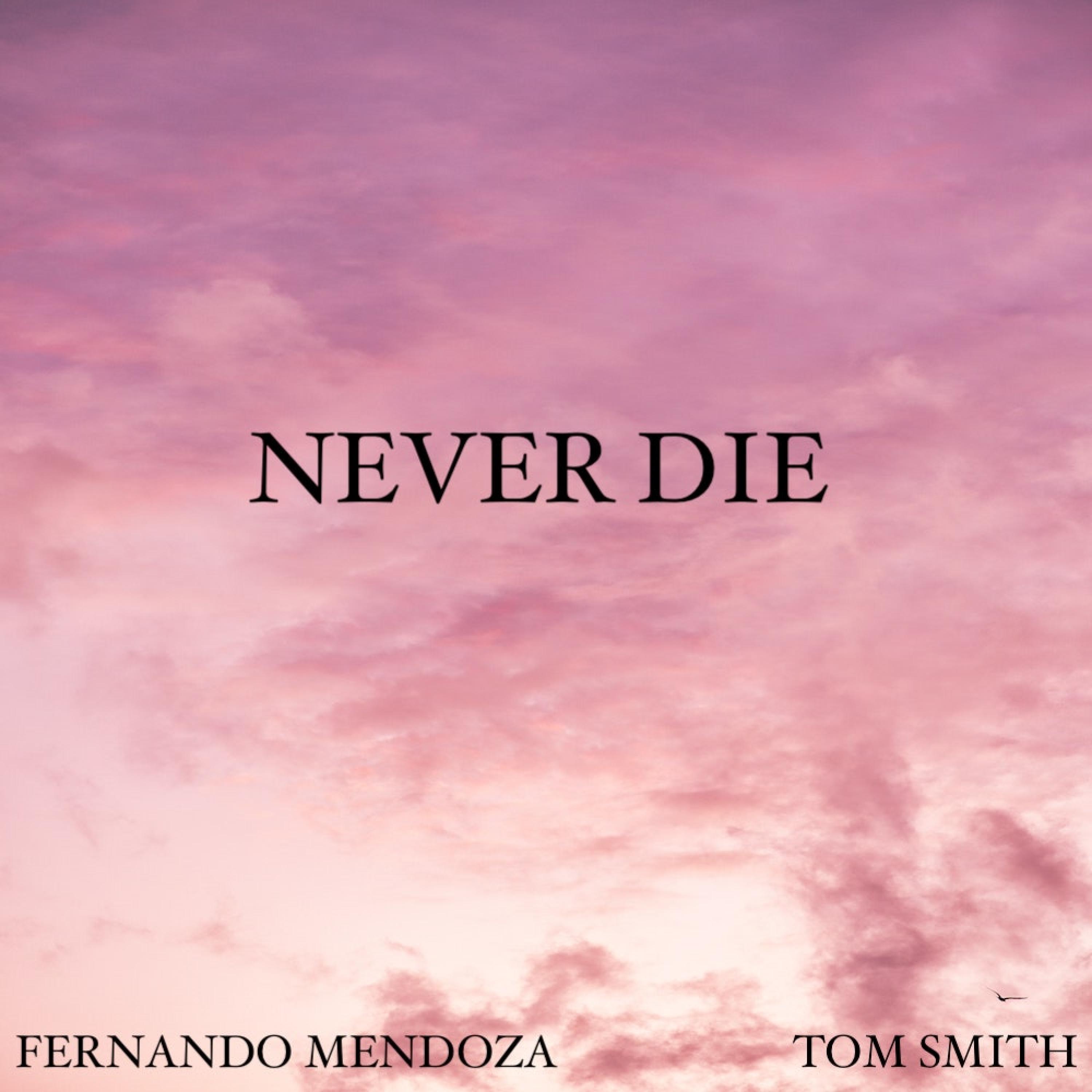 NEVER DIE (feat. TOM SMITH)