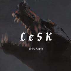 Cesk