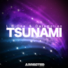 L.B. One - Tsunami (Dj Danjer Remix)