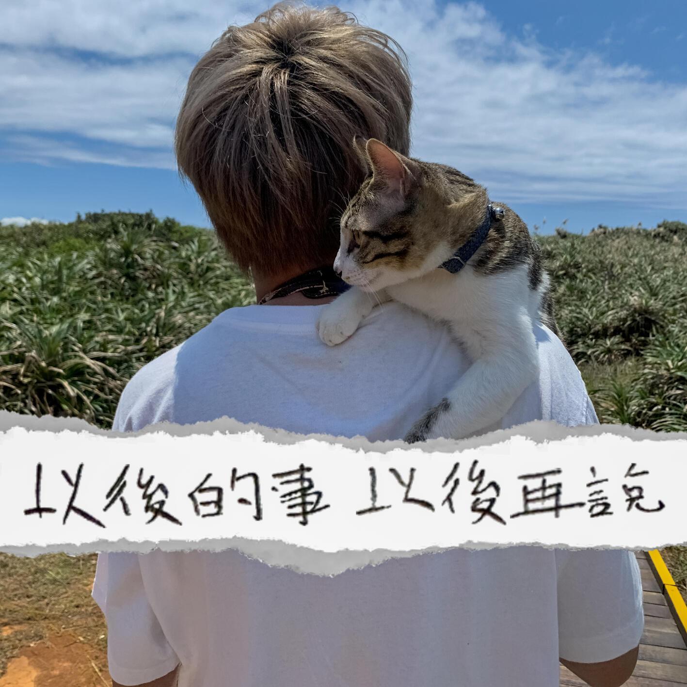 以后的事以后再说
