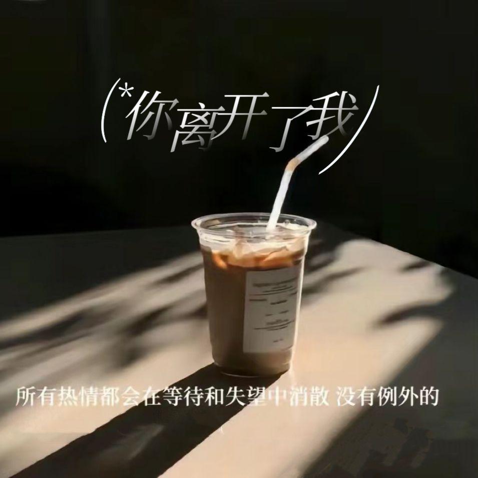 你离开了我