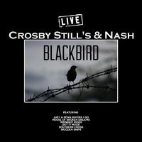 Crosby, Stills & Nash - Our House (karaoke)