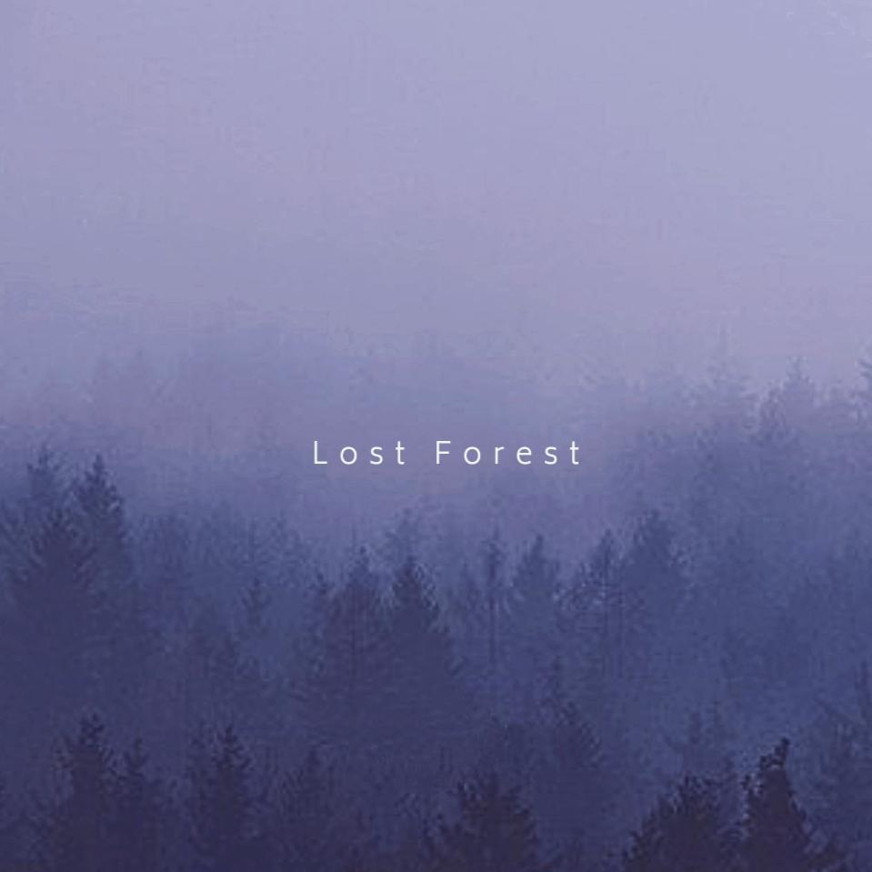 Lost Forest