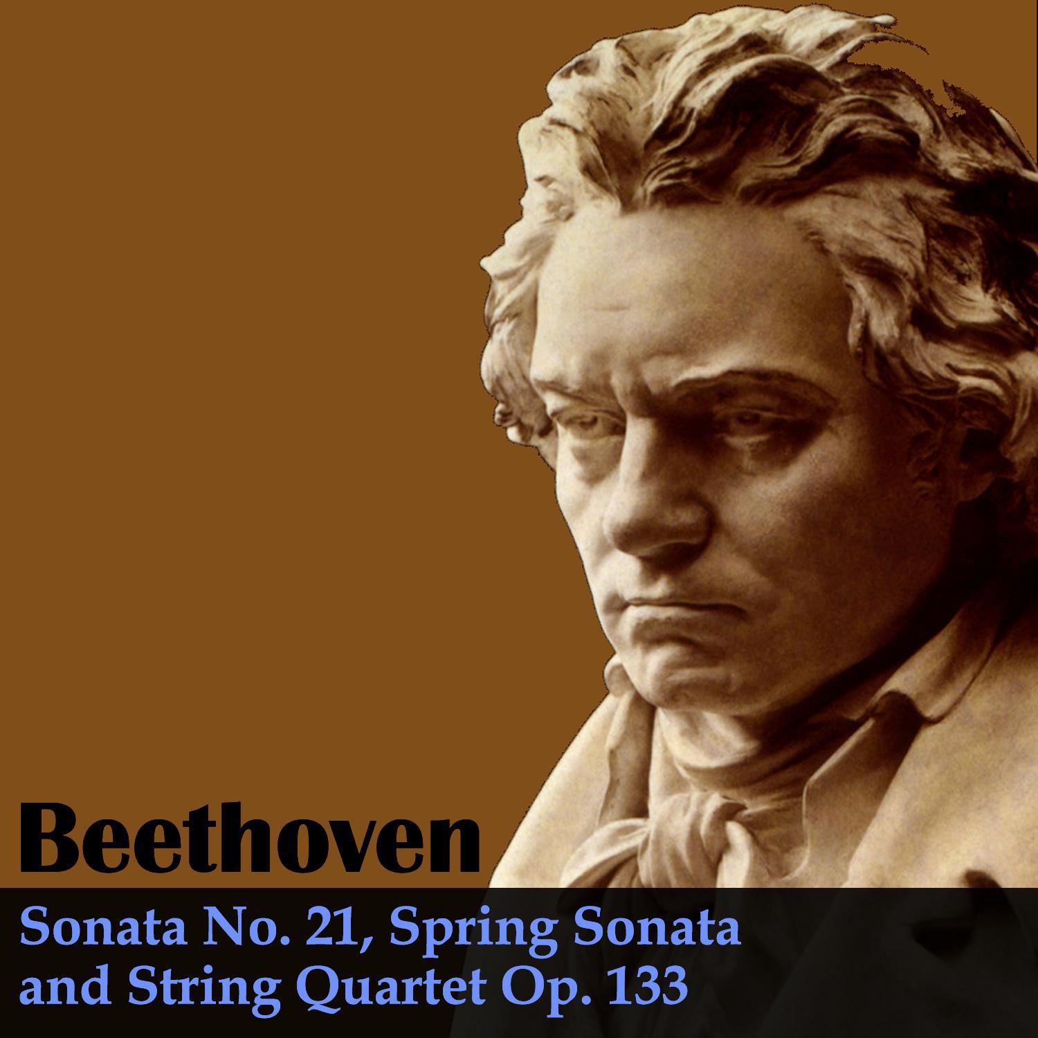 Beethoven: Sonata No. 21, Spring Sonata and String Quartet Op. 133专辑