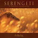 Serengeti专辑