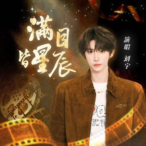 满目皆星辰