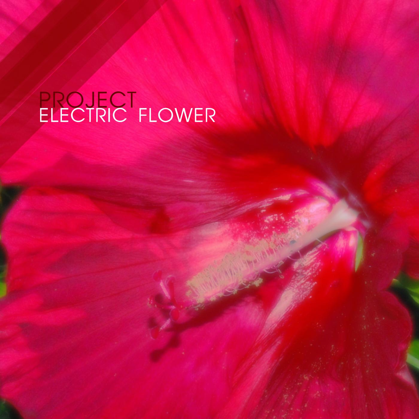 Project Electric Flower专辑