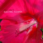 Project Electric Flower专辑