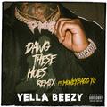 Dawg These Hoes (Remix) [feat. Moneybagg Yo]