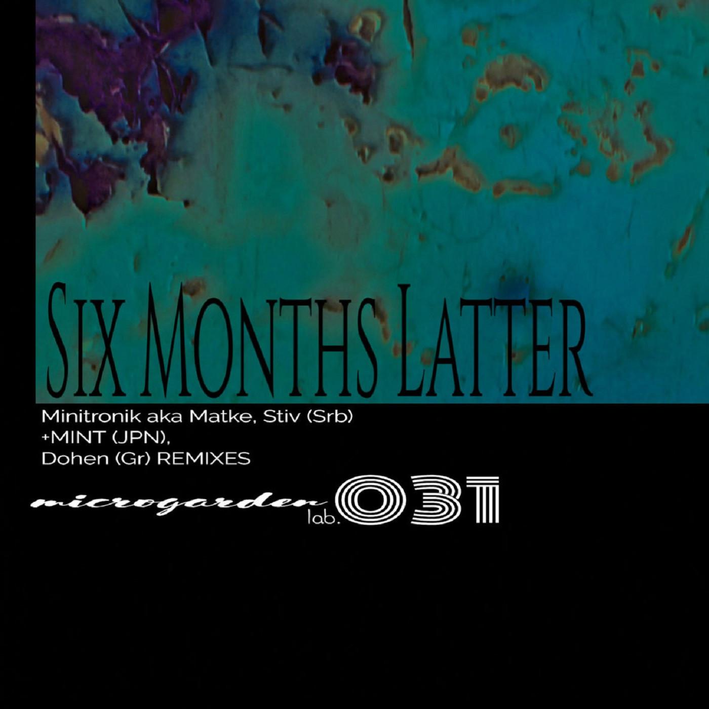 Minitronik - Six Months Latter (MINT (JPN) Remix)