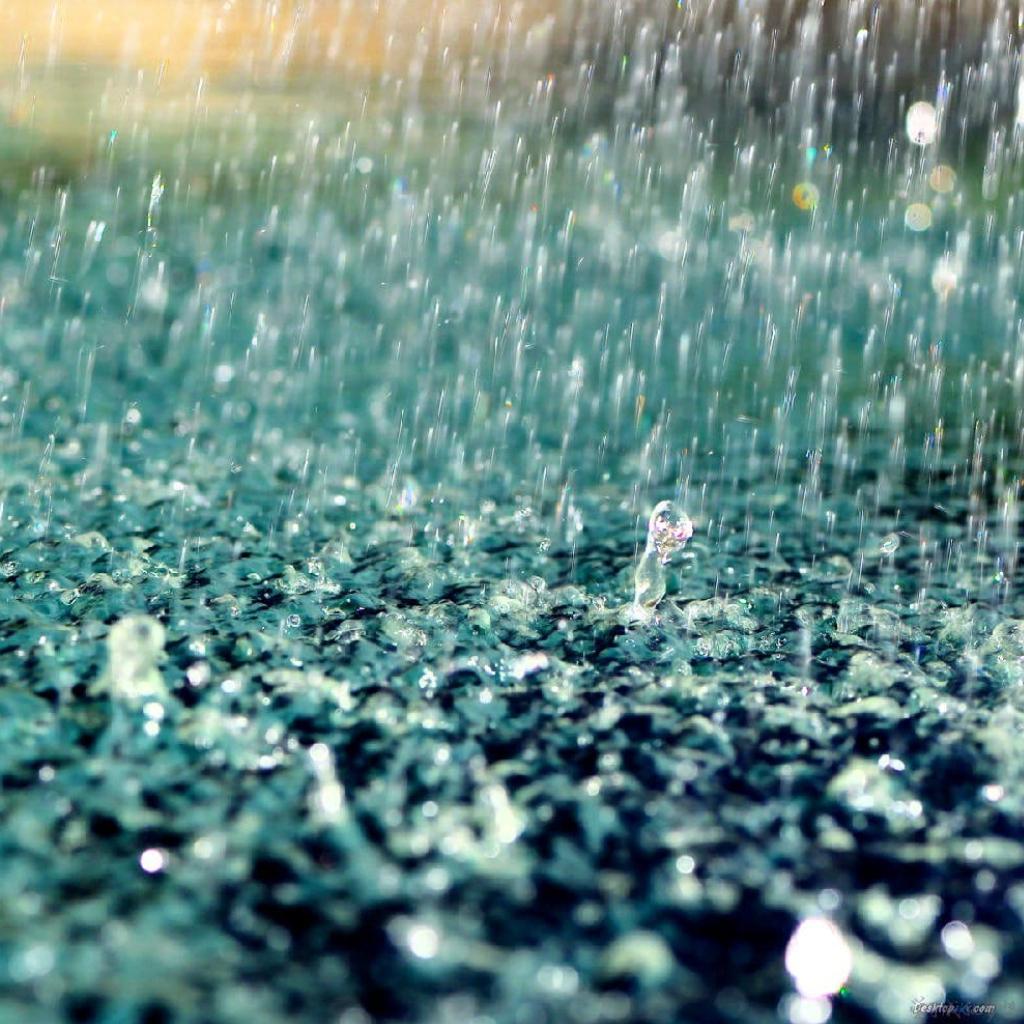 纯雨声，无配乐，无蛙声，无雷声