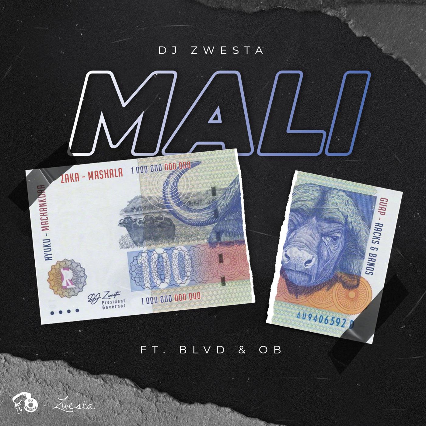 DJ Zwesta - Mali (Original Mix)