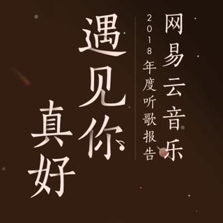我的2018年度听歌报告背景音乐
